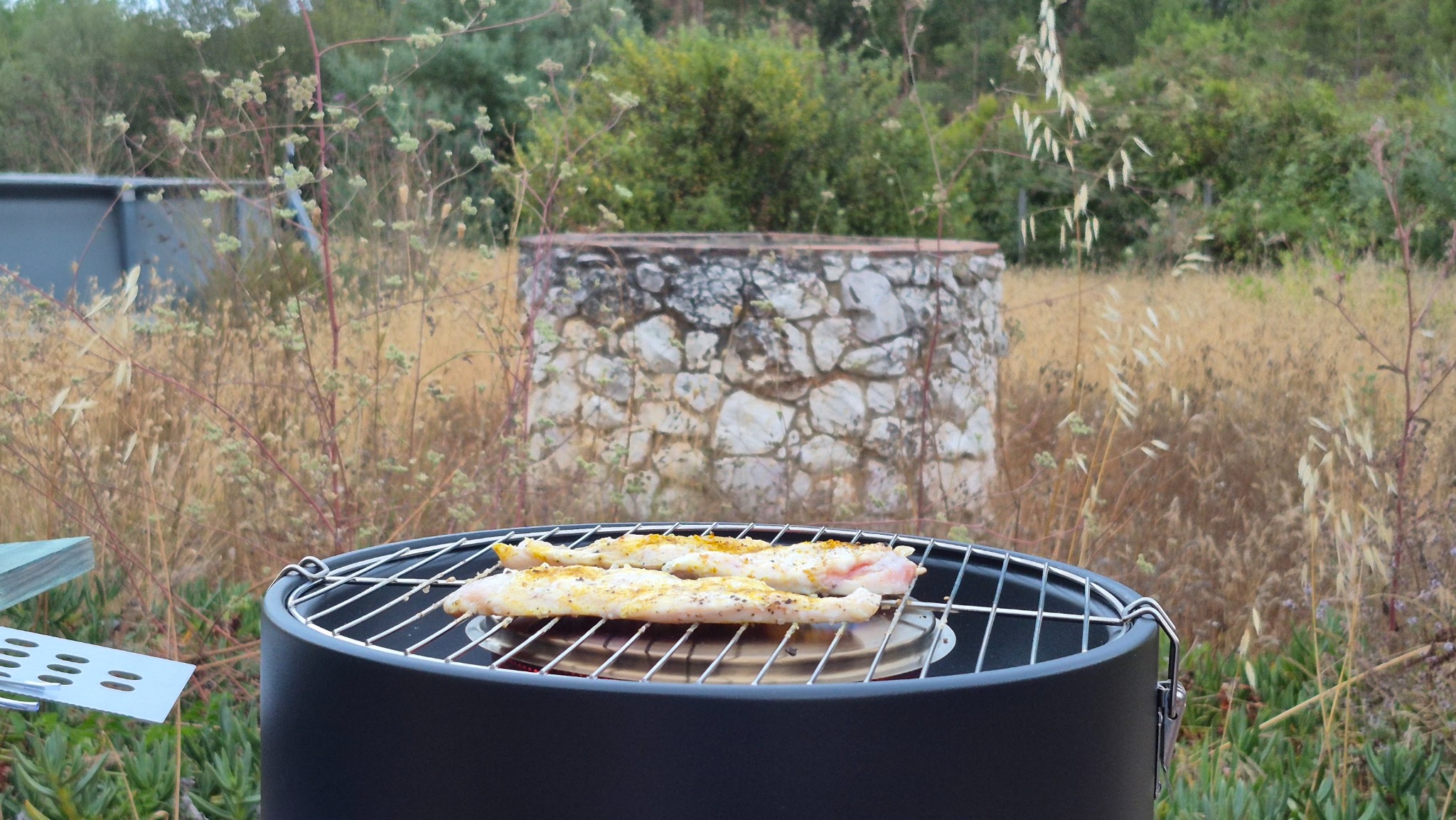Barbecue bij de waterput